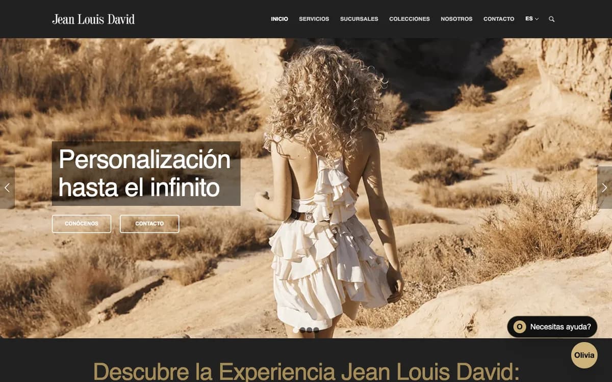 Jean Louis David Mexico